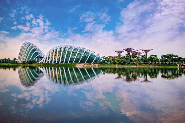<p>The incredible, sculptural Gardens by the Bay are just one horticultural must-see </p>