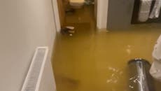 Couple face Christmas ‘with no home and no hope’ after flat flooded with sewage water