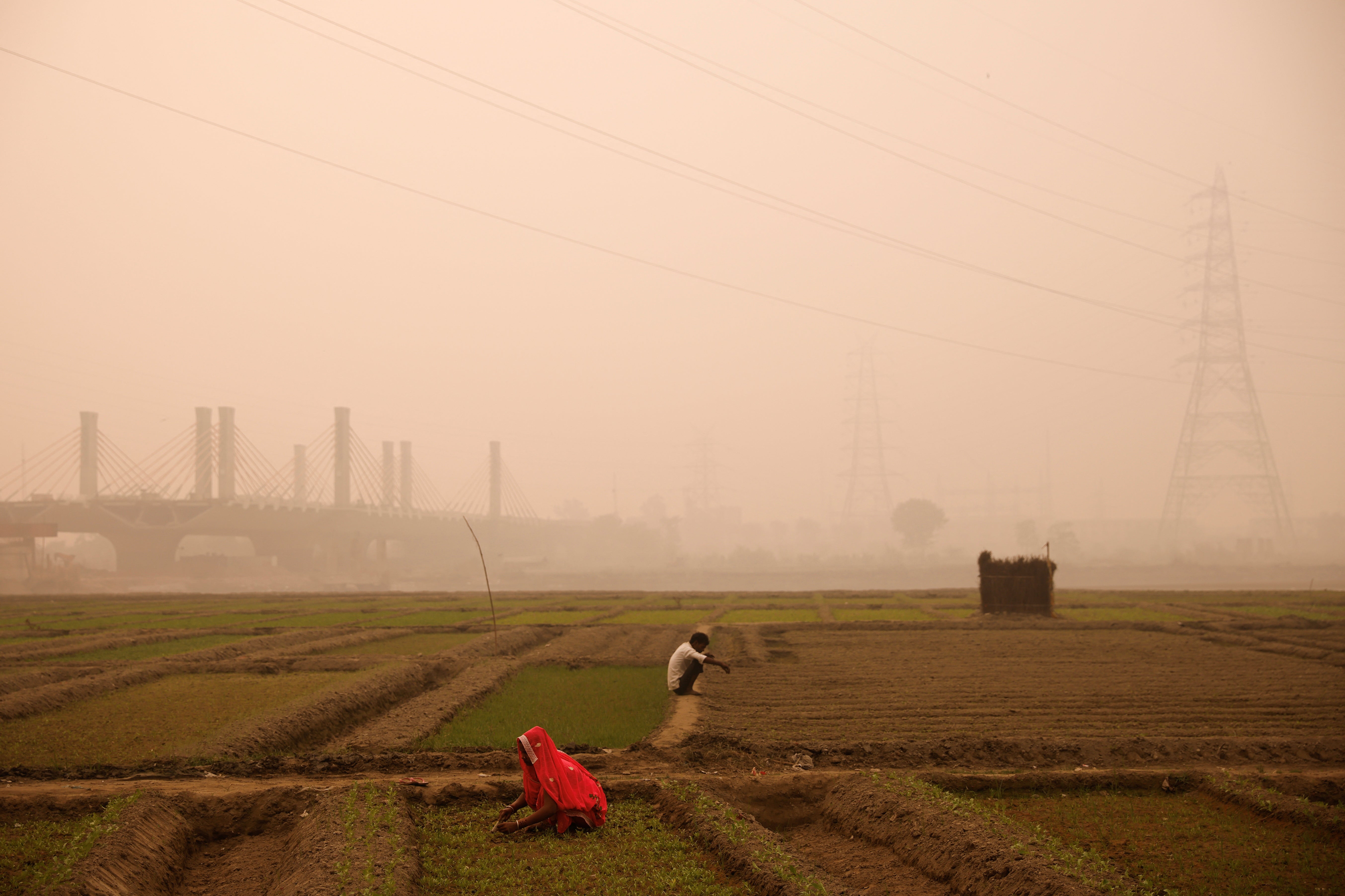 Farmers work amid smog in a field on the banks of the Yamuna river in New Delhi, India