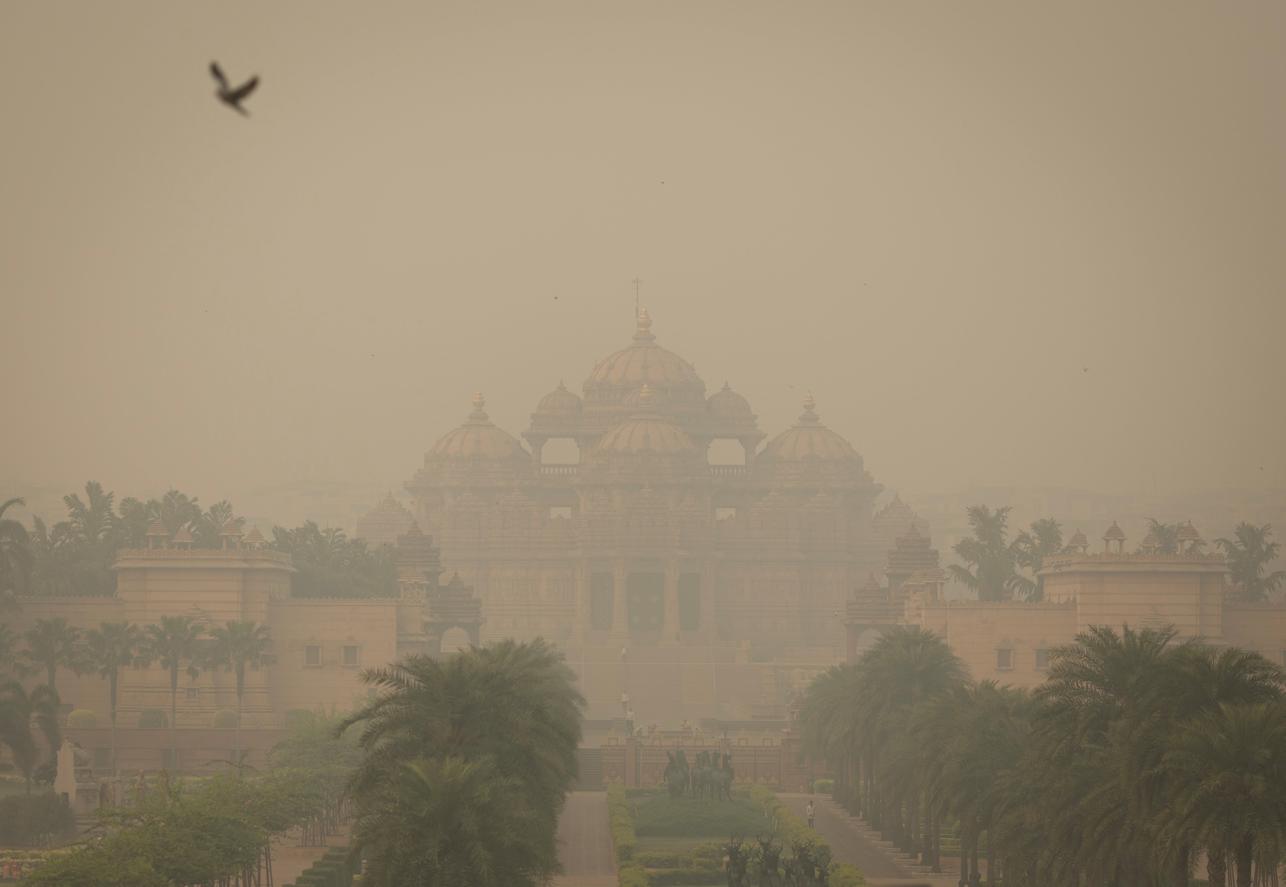 A bird flies next to the smog-covered Akshardham temple