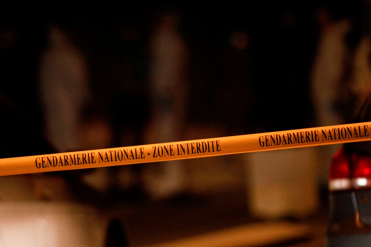 Children among 10 killed as fire rages at seven-storey apartment block near Lyon