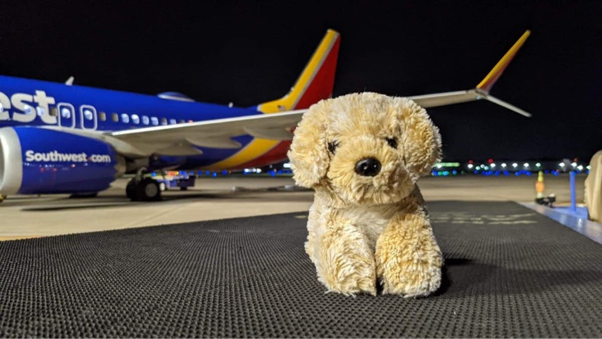 Southwest employee returns child’s toy dog with photos of its travels