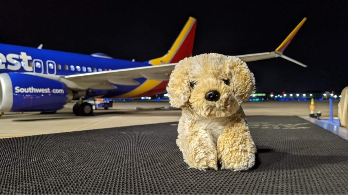 Southwest Airlines employee rescues little girl’s stuffed dog, sending photos of its travels