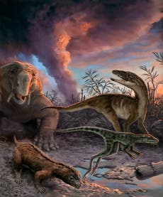 Age of the dinosaurs was triggered by climate change, new research reveals