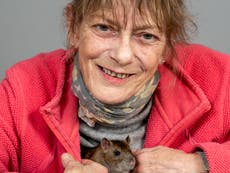 Terminal lung cancer patient claims pet rat saved her life