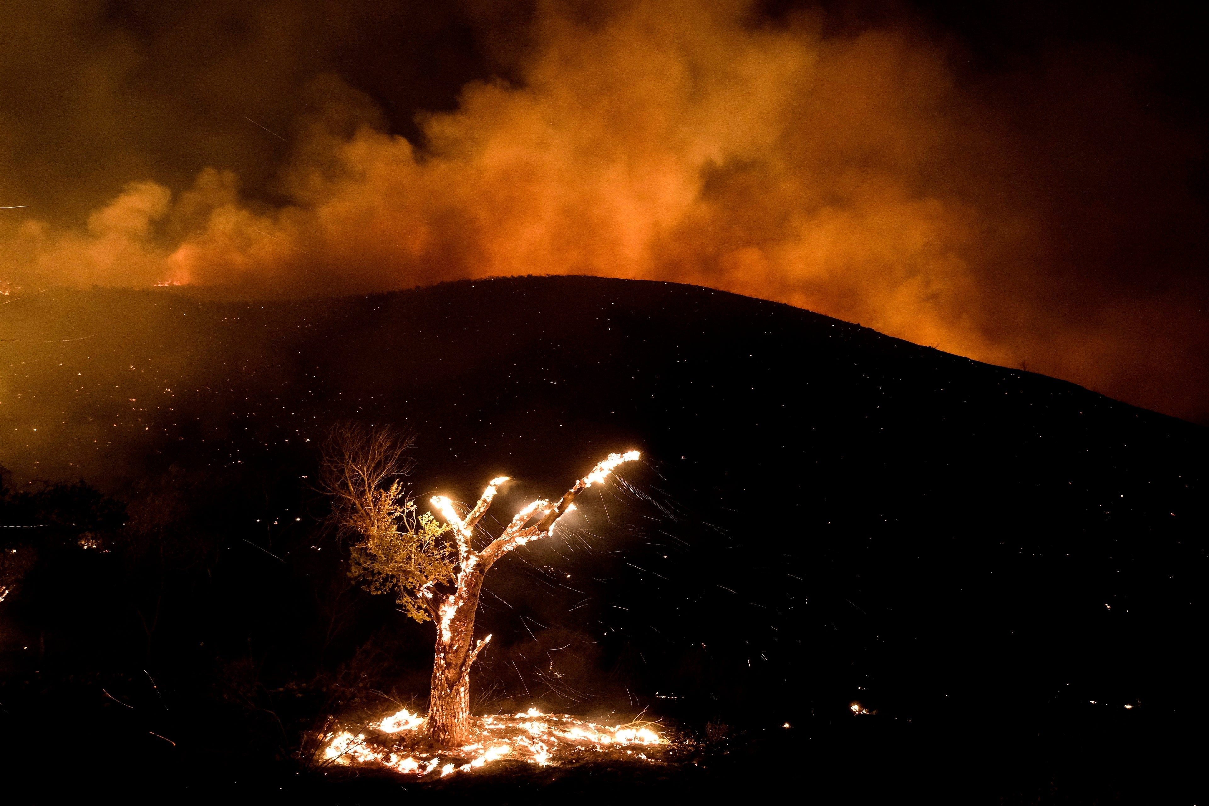 The climate crisis is having a greater impact on biology