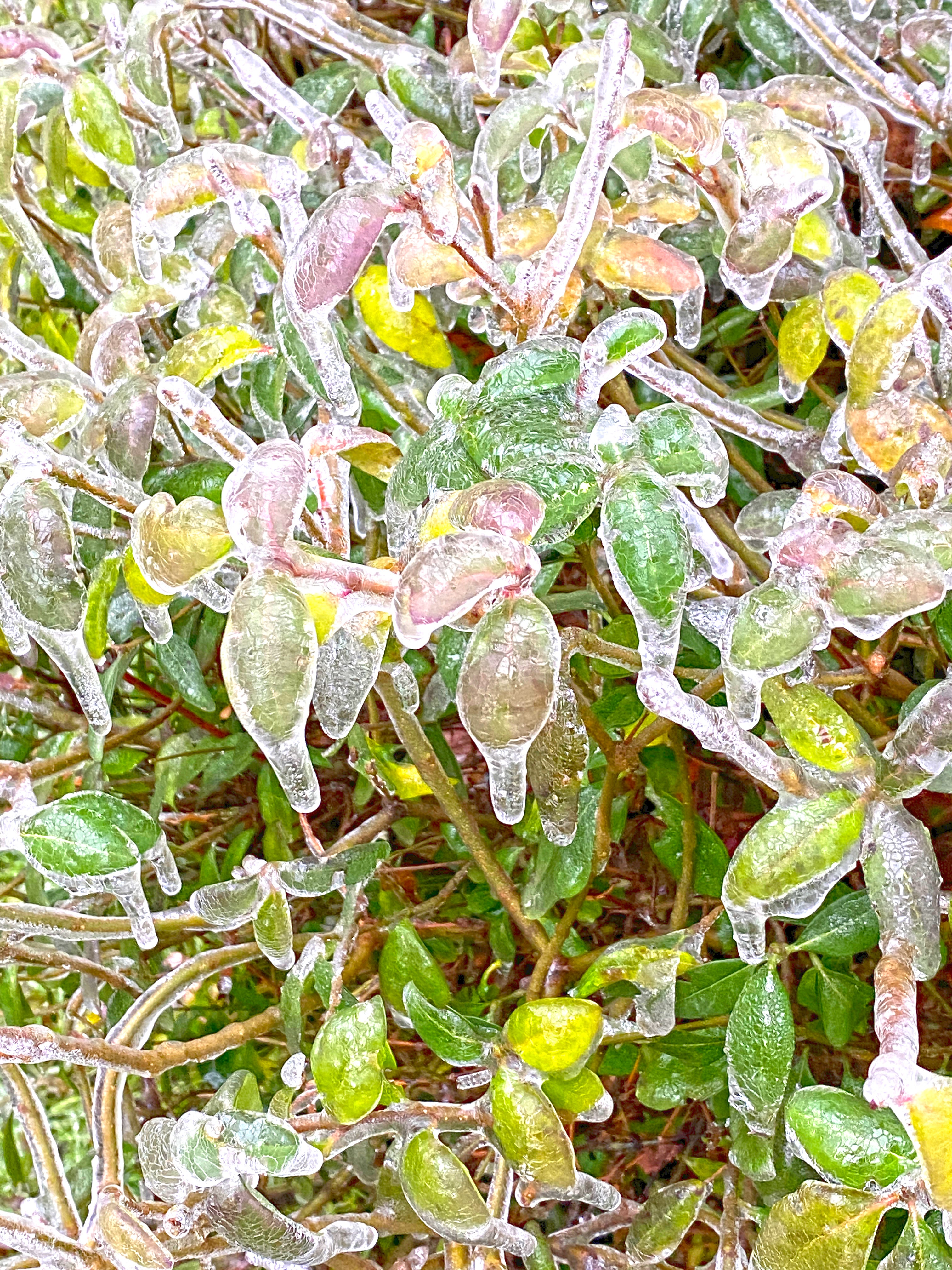 Freezing rain is a rare phenomenon that could occur this weekend