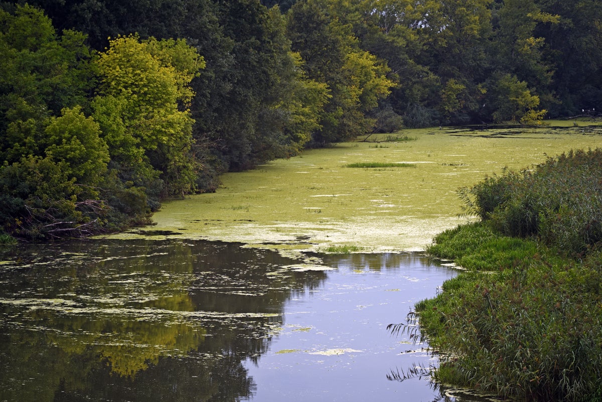 Government criticized for excluding overall water quality from environmental targets