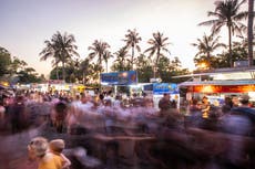  Australia’s tropical north: enjoying nature’s bounty in lush, colourful Darwin 