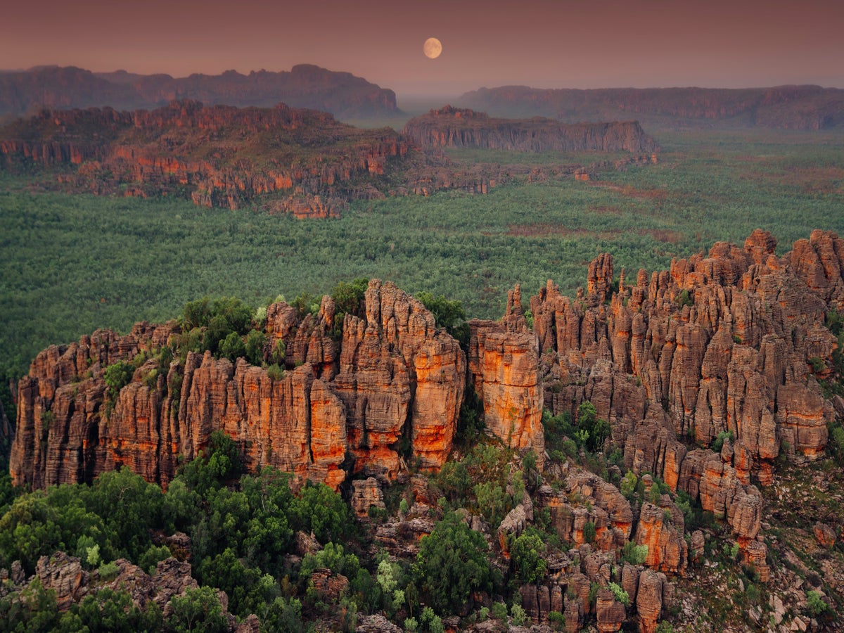 Kakadu’s wetlands and wildlife habitat