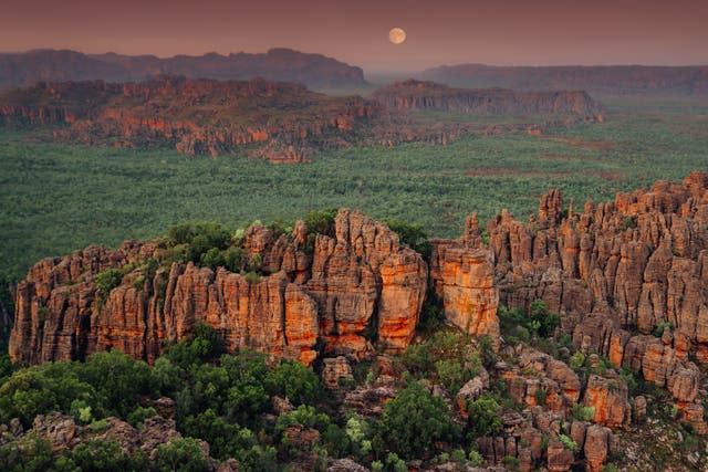 <p>Covering nearly 20,000 square kilometres, Kakadu National Park is a World Heritage listing renowned for both its cultural and natural values.</p>