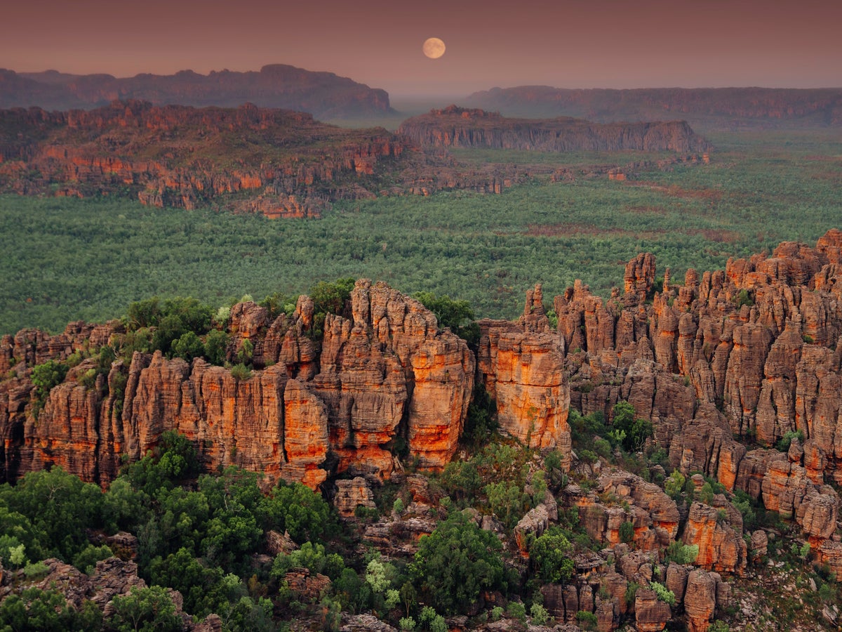 Kakadu’s wetlands and wildlife habitat