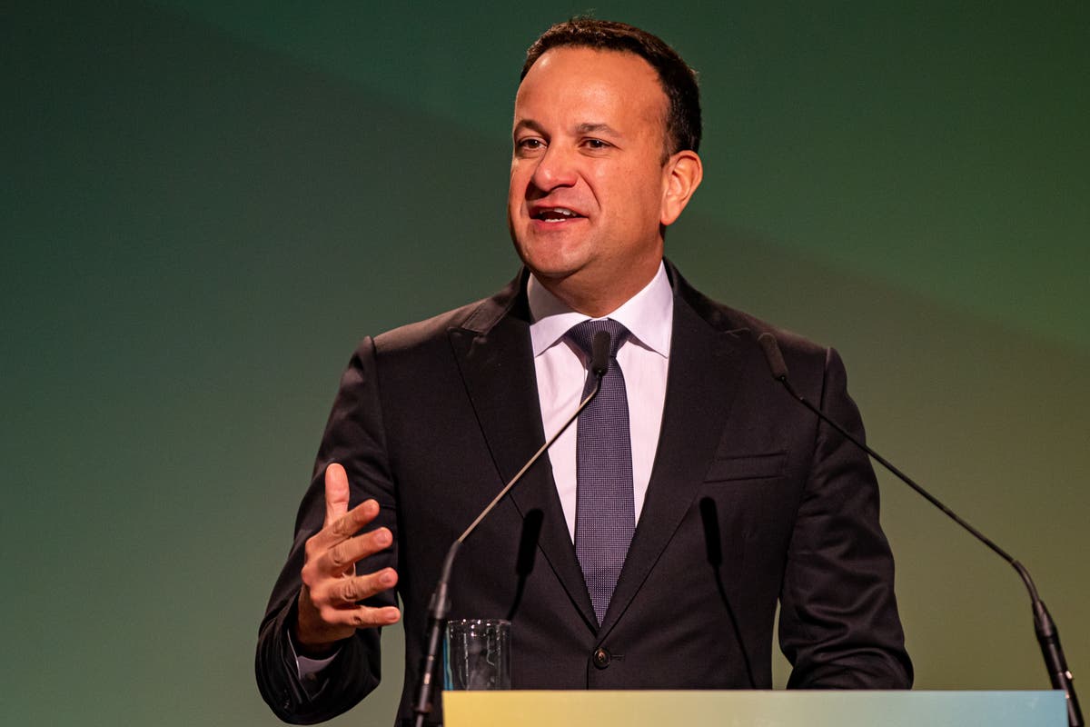 Ireland’s Dail backs nomination of Leo Varadkar as taoiseach Ireland’s Dail backs nomination of Leo Varadkar as taoiseach