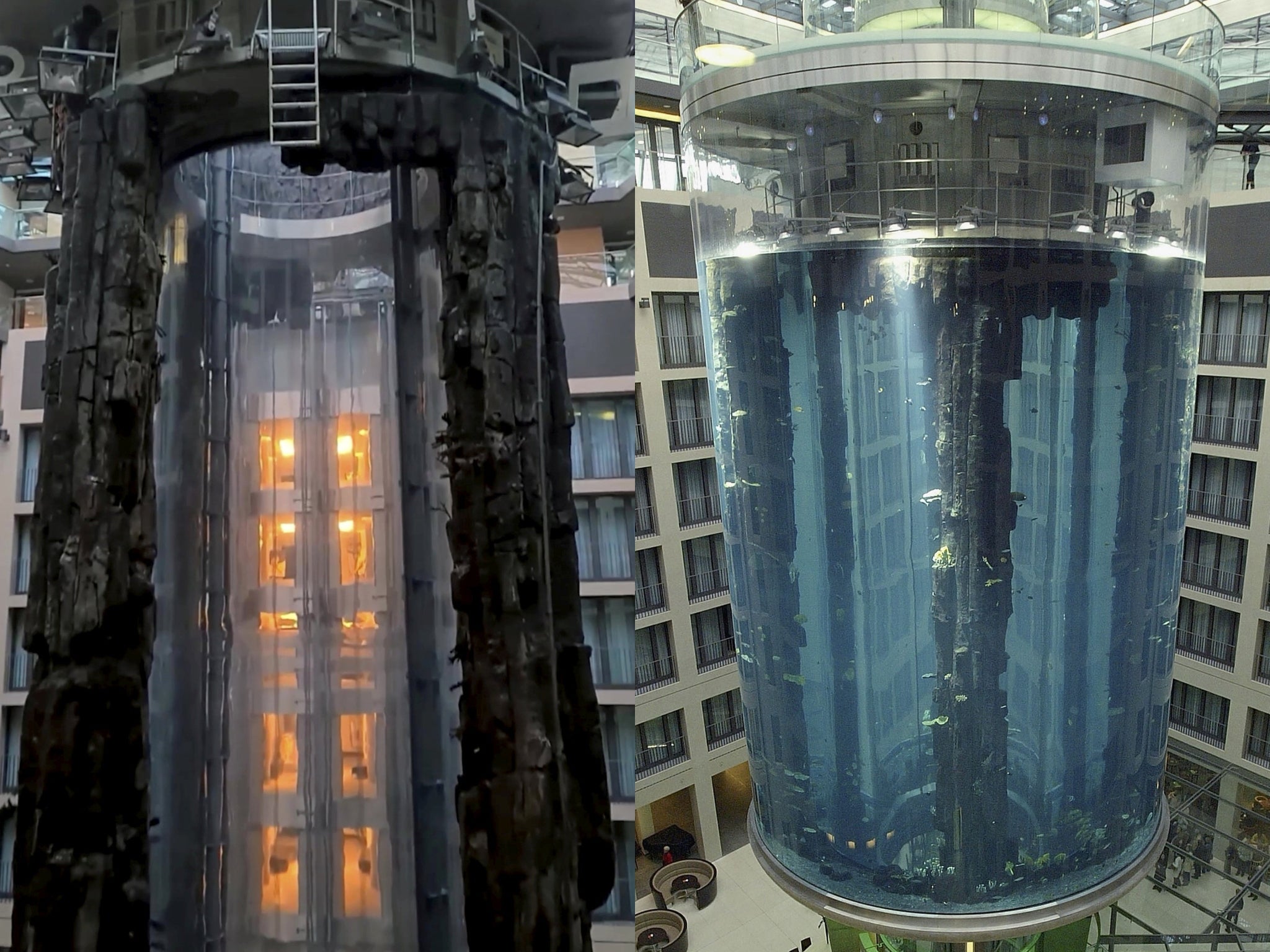 <p>The Berlin AquaDom held the Guinness World Record for being the largest cylindrical aquarium</p>