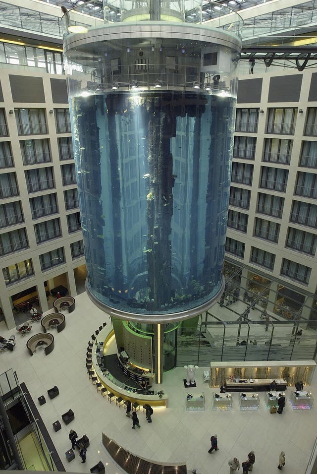 ‘Terrible human loss narrowly avoided’ when 82ft aquarium housing 1,500 ...