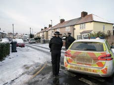 Neighbour ‘heard scream’ on road where two young boys found dead