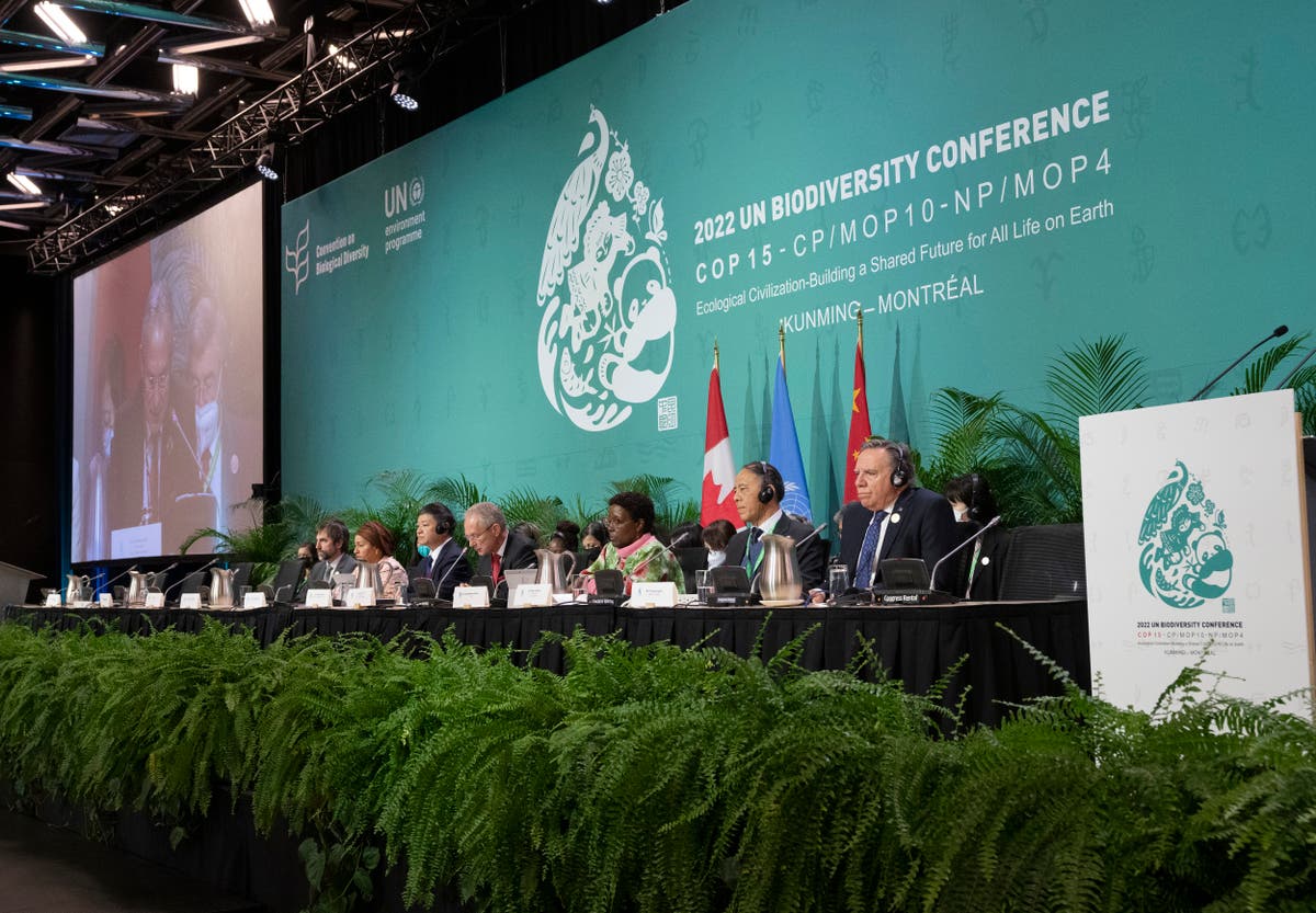 Governments move closer to deal at biodiversity conference Governments move closer to deal at biodiversity conference
