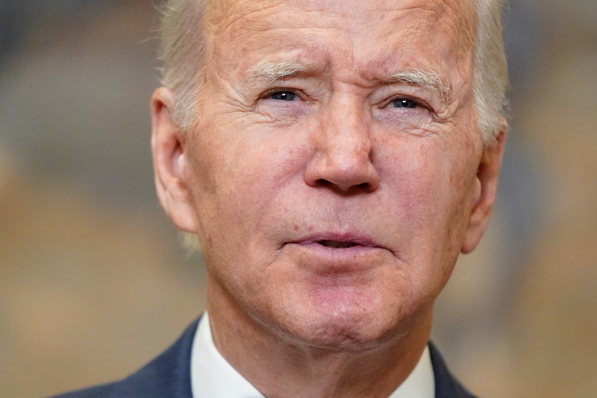 Biden's bullish 2024 talk does little to tamp down chatter