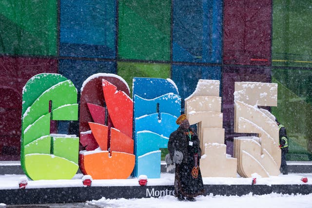 Countries meeting at Cop15 in Montreal have pledged to protect 30% of the world’s lands, seas, coasts and inland waters by 2030 as part of a new deal that aims to halt declines in nature (Paul Chiasson /The Canadian Press/AP)