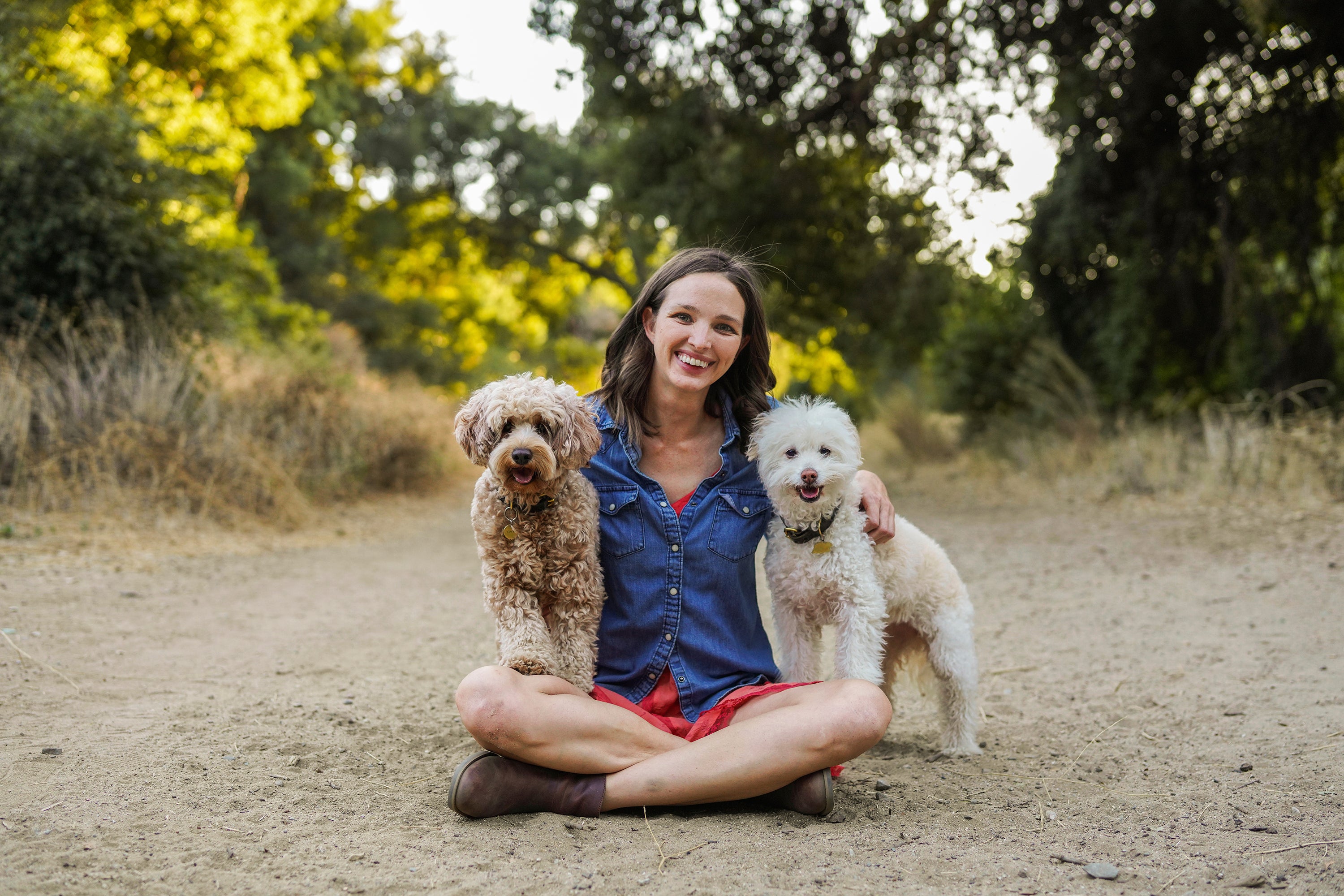 Pets-Holiday Home Stays