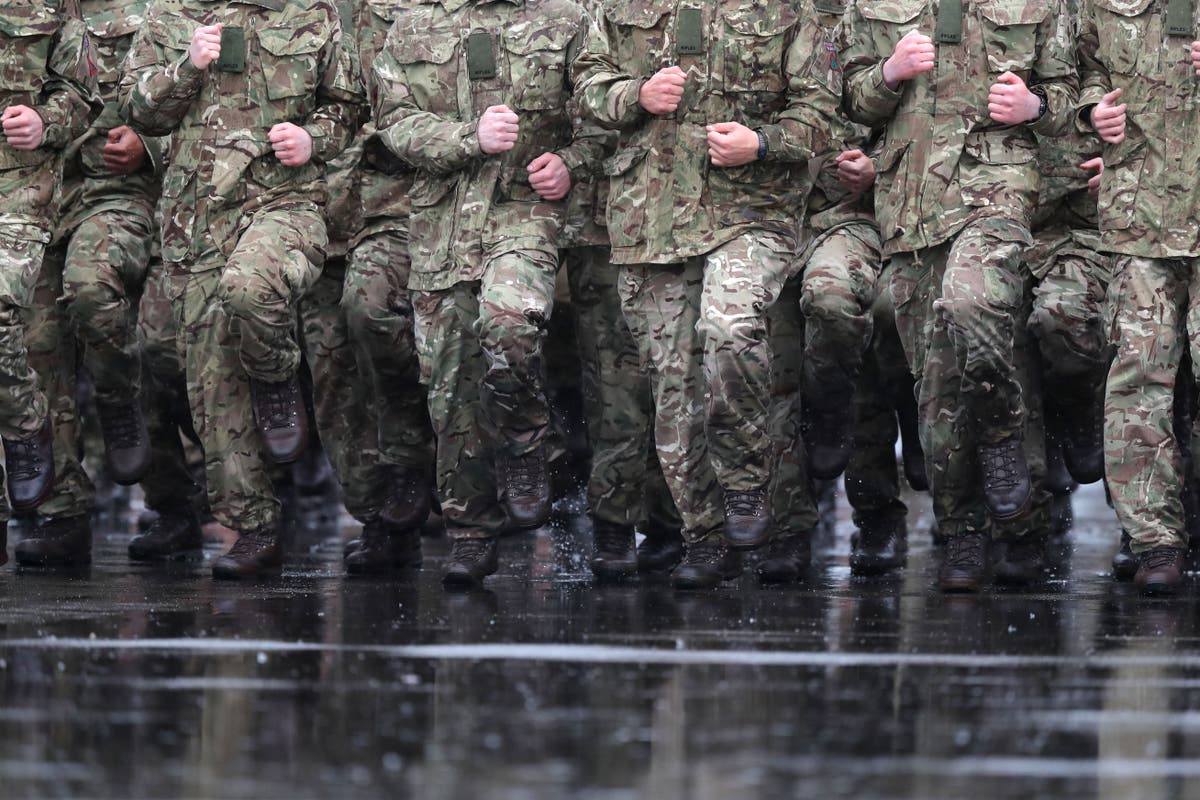 Reservist role could be stepped up for some crises, says &lsquo;resilience&rsquo; report