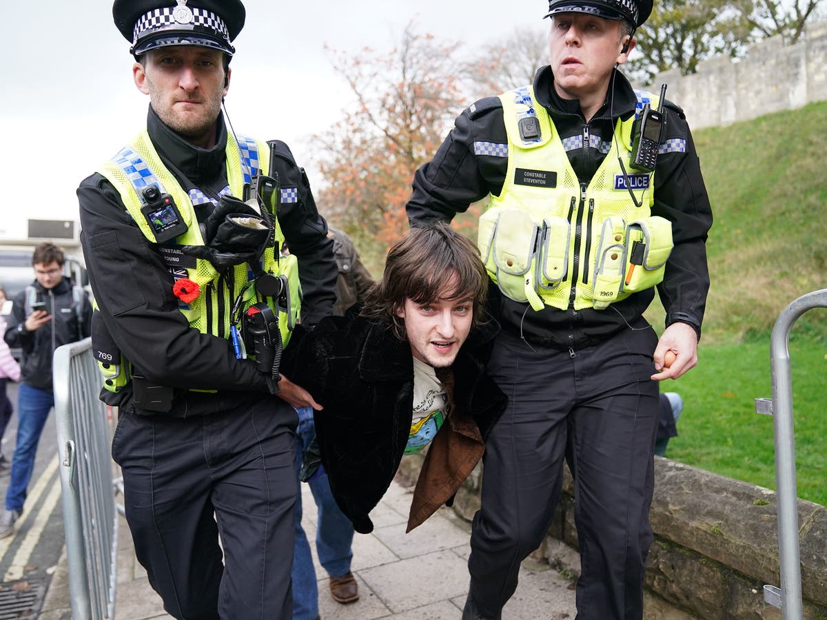 Британцам запретили. Полиция. Great Britain protests.