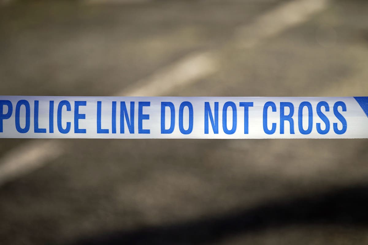 Man shot dead by police after officers attend incident in Carlisle