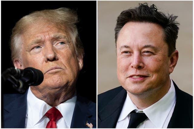 <p>This combination of photos shows former president Donald Trump during rally at the Minden Tahoe Airport in Minden, Nevada, 8 October 2022, left, and Elon Musk in Wilmington, Delaware, 12 July 2021</p>