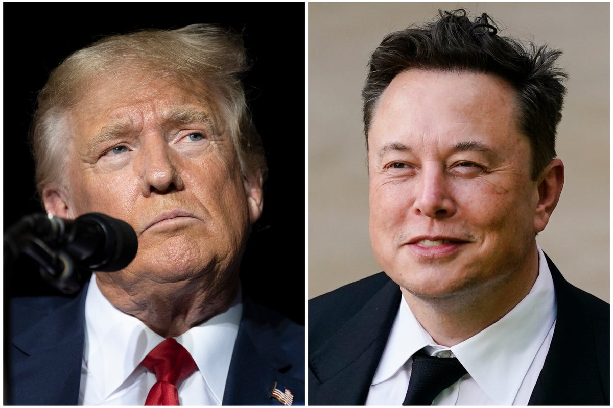 Trump calls Musk a ‘hero’ and says he held poll on quitting as Twitter CEO because he wants out