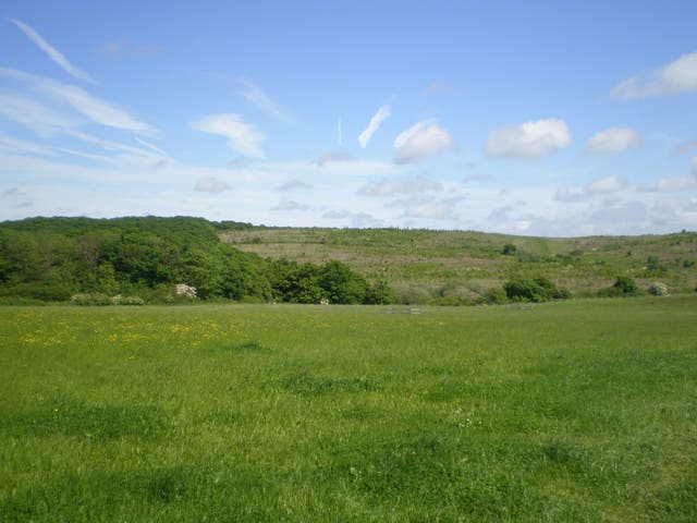 <p>The man was found on farmland in East Yorkshire  </p>