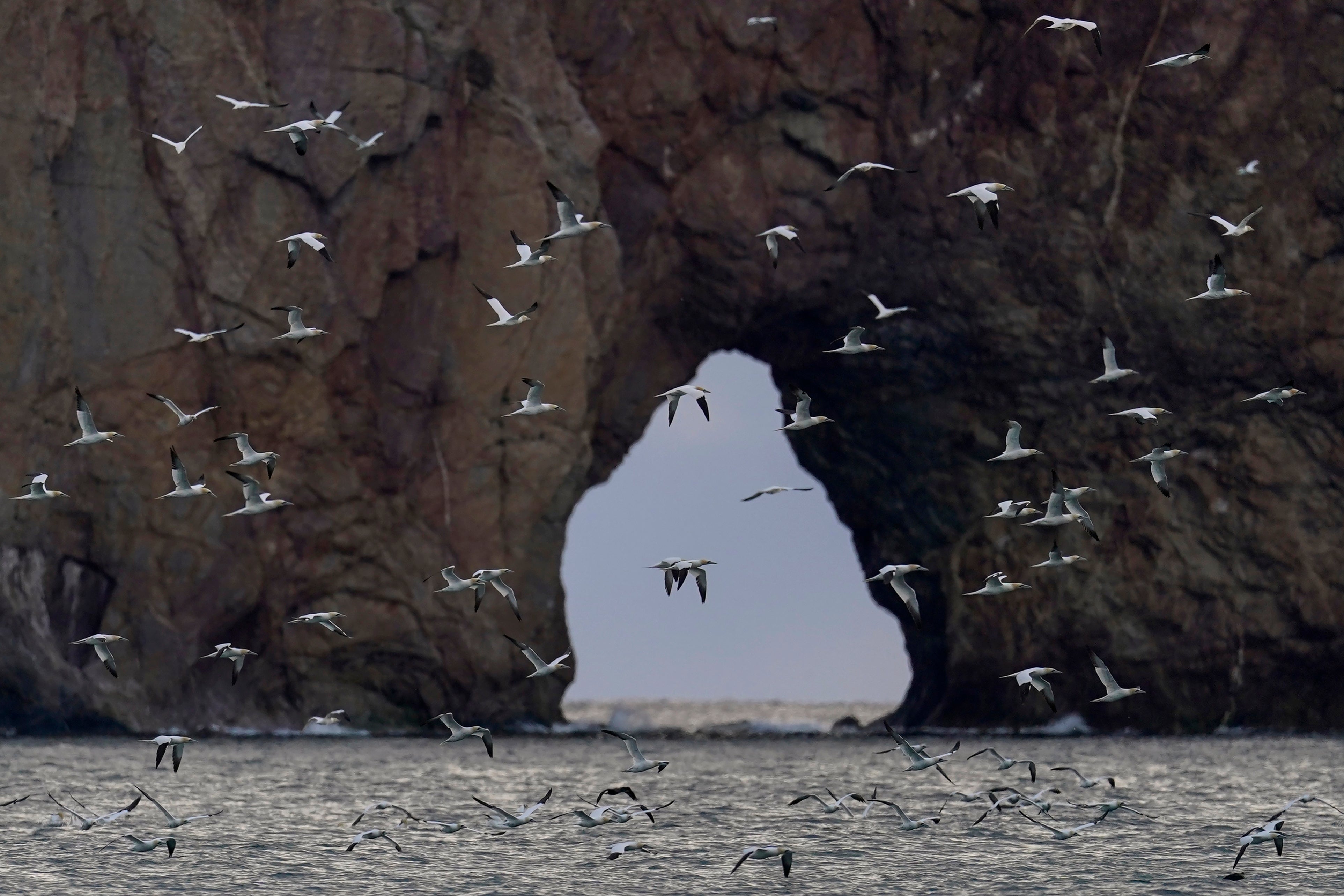 Climate Change Coastal Erosion