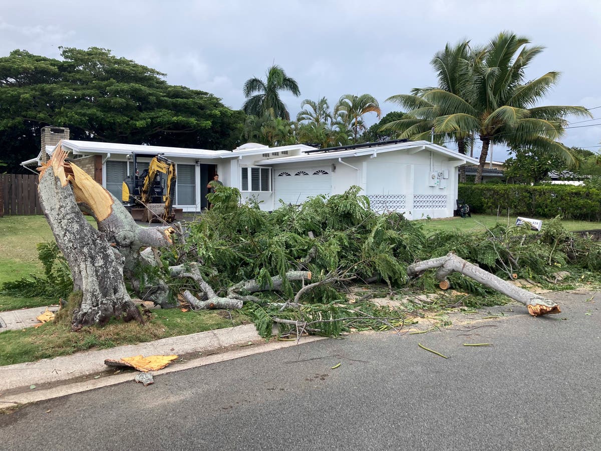 Winter storm in Hawaii Thunder, hail and power outages Review Guruu