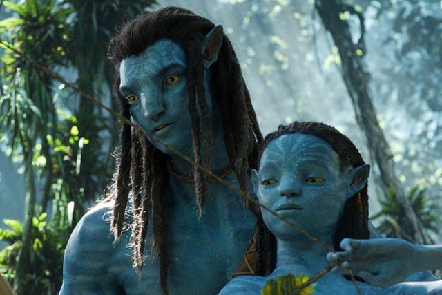 <p>‘Avatar: The Way of Water’ is a follow-up to James Cameron’s 2009 smash hit</p>