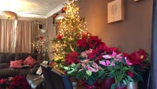 ‘Poinsettia addict’ admits to splashing out £3,000 on festive flowers for his home