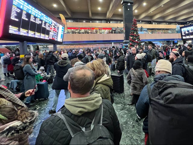 <p>Nightmare before Christmas: passengers at Euston station in London</p>