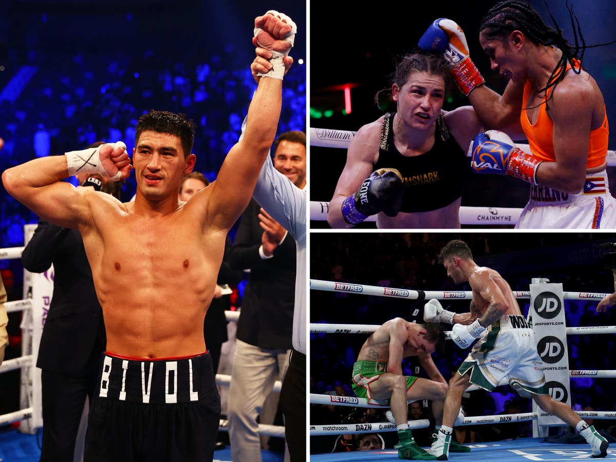 highlights in 2022: Best fight, knockout, fighter and more | The