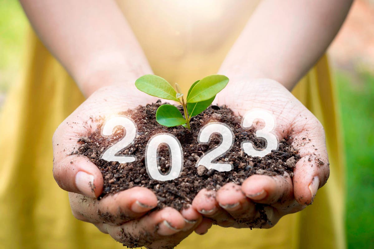 Gardening trends for 2023 – experts make their predictions