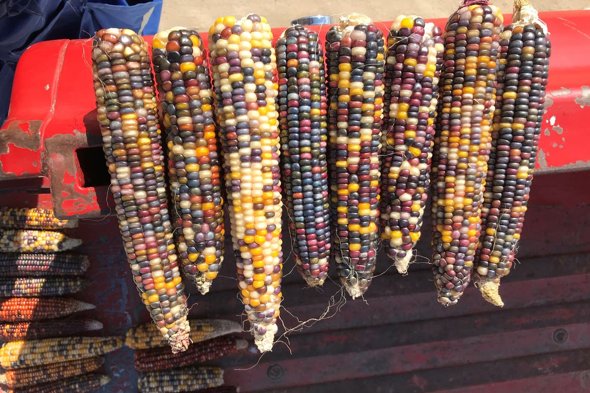 Try growing these weird and wonderful veg in 2023