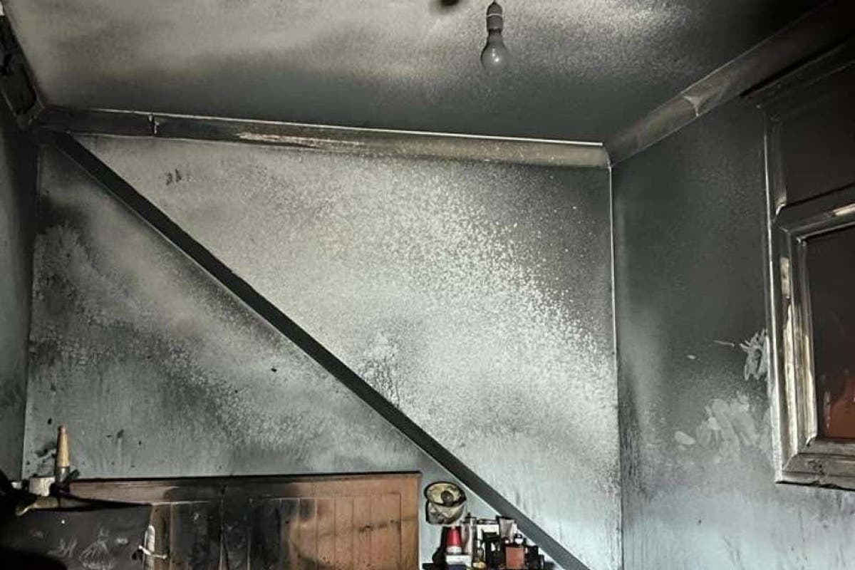 Dog &lsquo;started fire&rsquo; on Christmas Eve after accidentally turning hairdryer on