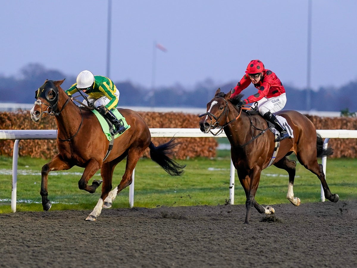 Kempton stage is set for ‘sensational’ Boxing Day of racing