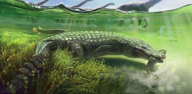 <p>Life reconstruction of Titanochampsa iorii</p>