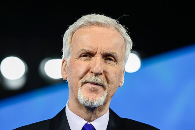 <p>James Cameron photographed at the world premiere of ‘Avatar: The Way of Water'</p>