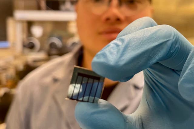 <p>Solar panels could be made cheaply using halide perovskite, a type of human-made material</p>