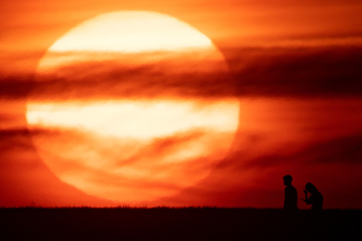 2022 will be warmest year on record for the UK, says Met Office