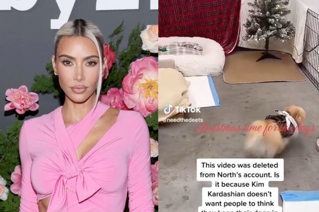 Kim Kardashian se enfrenta a una reacción violenta después de que TikTok eliminado muestra dos pomeranias mascotas en el garaje