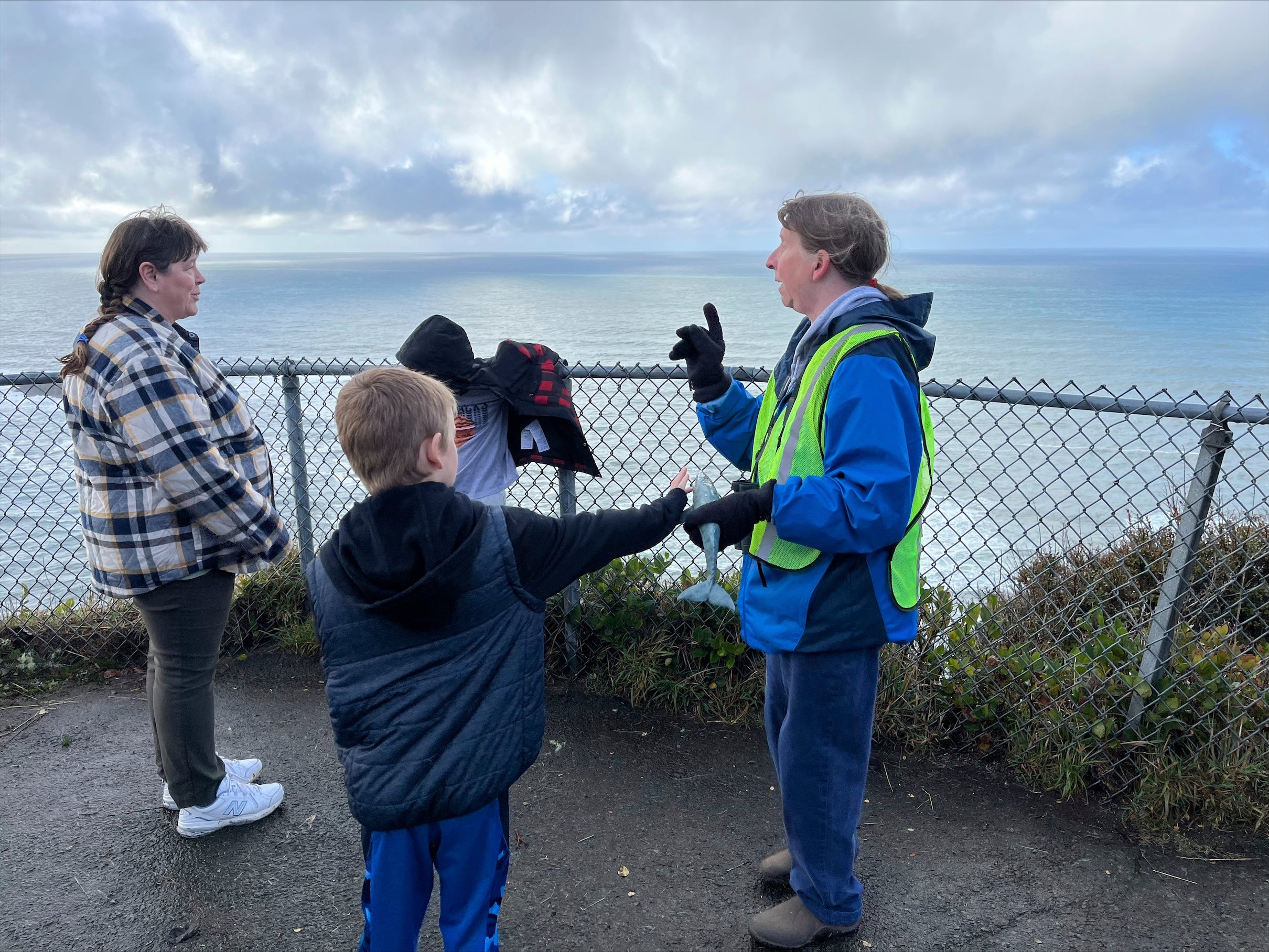 Whale Watching Winter Weather