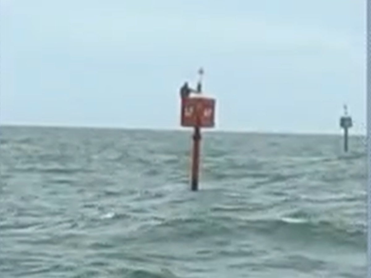 Missing fisherman found clinging to signal buoy off coast of Brazil two days after falling from his boat