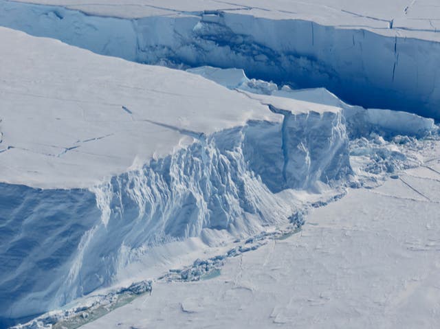 <p>The Thwaites Ice Shelf in Antarctica</p>
