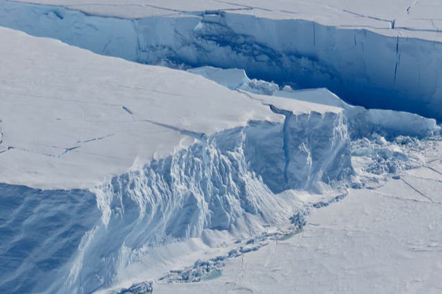 <p>The Thwaites Ice Shelf in Antarctica</p>