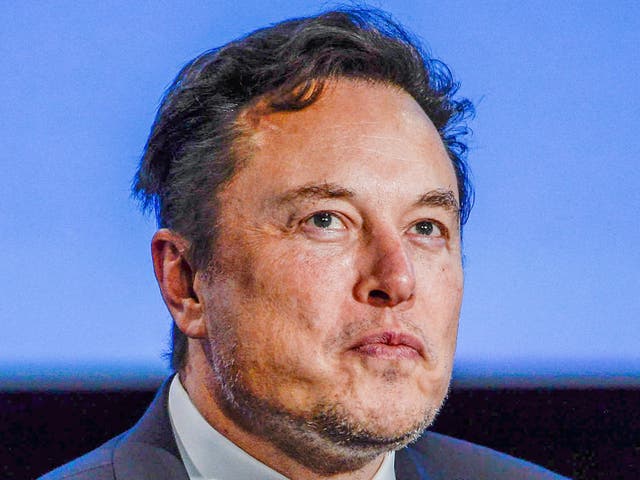 <p>Elon Musk, pictured on 29 August 2022 in Stavanger, Norway, is the CEO of The Boring Company, Neuralink, SpaceX, Tesla and Twitter</p>